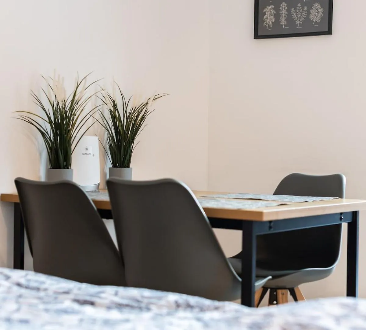 Kleines Apartment Fuer 3 Drezda